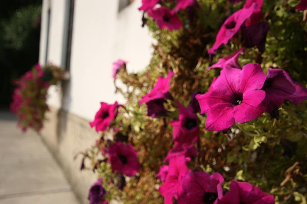 Corte Posta B&B Mantua Exterior foto